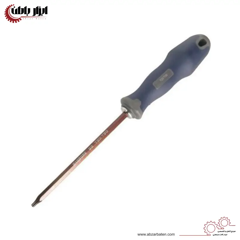 پیچ گوشتی ستاره ای سایز T10 هامبورگ مدل H5439